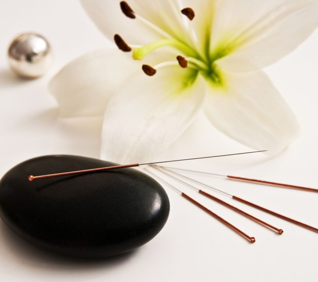 Anasa Holistic Therapy